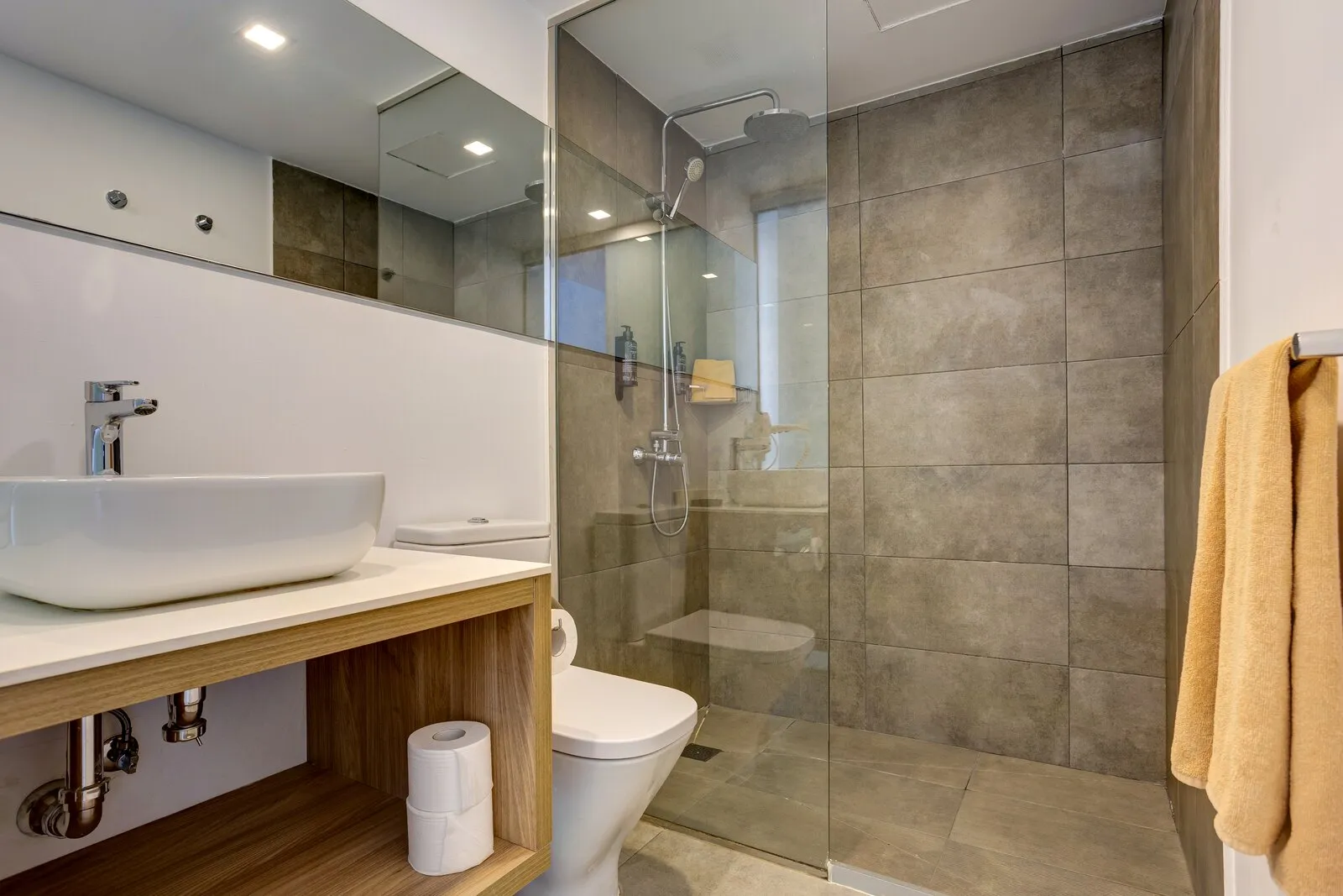 Apartment 206 bathroom, with a wide basin and rainfall shower behind glass